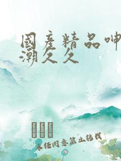 国产精品呻吟高潮久久