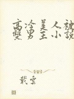 高冷美人被催眠双男主小说