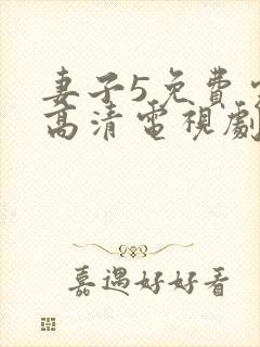 妻子5免费完整高清电视剧在线看韩剧