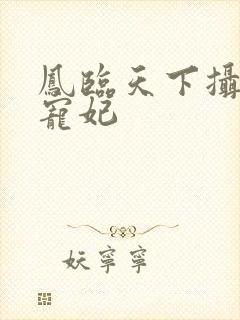 凤临天下摄政王宠妃