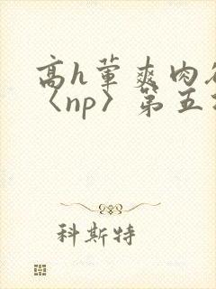 高h荤爽肉欲文〈np〉第五次