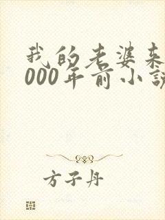 我的老婆来自1000年前小说免费阅读,无弹窗