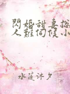 闪婚甜妻总裁大人难伺候小说