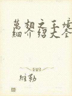 万相之王境界详细介绍大全