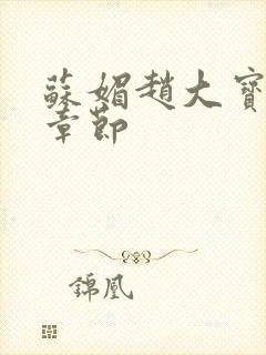 苏媚赵大宝最新章节