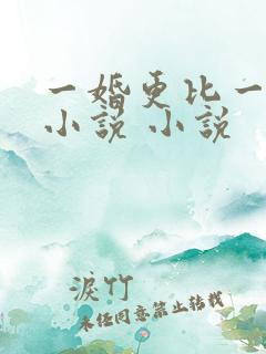 一婚更比一婚高小说 小说