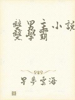 双男主小说校园双学霸