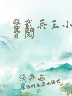 医武兵王小说免费阅