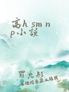 高h sm np小说