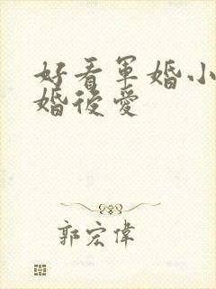 好看军婚小说先婚后爱