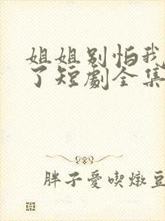 姐姐别怕我满电了短剧全集免费观看