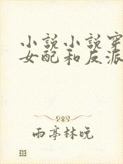 小说小说穿书:女配和反派试图谋反