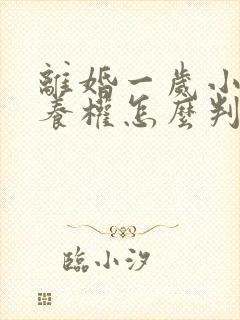 离婚一岁小孩抚养权怎么判