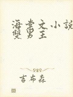 海棠文小说推荐双男主