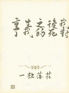 重生之后我嫁给了我的死对头