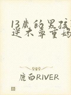 13岁的男孩叛逆不尊重妈妈