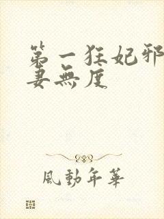 第一狂妃邪王宠妻无度