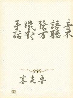 手机发语音打电话对方听不到声音