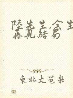 陆先生,余生不再见结局