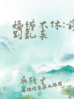 婚缠不休:前夫别乱来