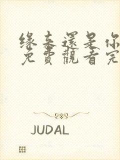 缘来还是你短剧免费观看完整版