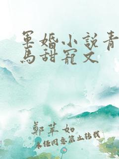 军婚小说青梅竹马甜宠文