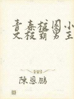 青春校园小说甜文校霸男主