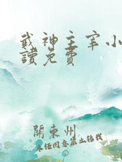 武神主宰小说阅读免费