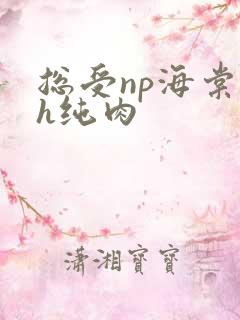 总受np海棠高h纯肉