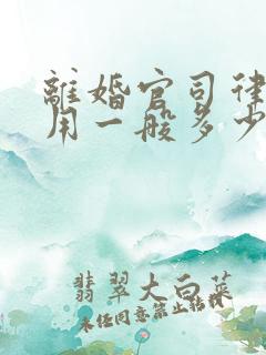 离婚官司律师费用一般多少钱