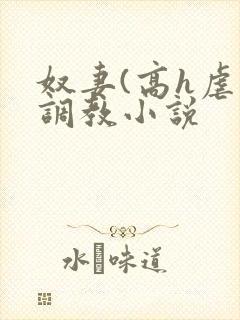 奴妻(高h虐身调教小说