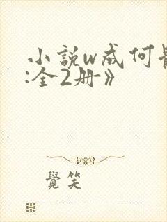 小说w成何体统:全2册》