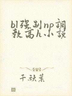 bl强制np调教高h小说