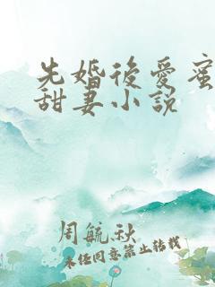 先婚后爱蜜宠娇甜妻小说