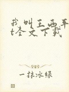 我叫王西平txt全文下载