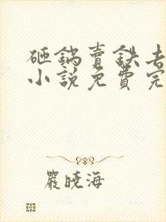 砸锅卖铁去上学小说免费完本