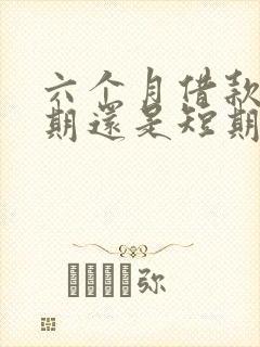 六个月借款是长期还是短期