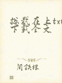 总裁在上txt下载全文