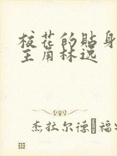 校花的贴身高手主角林逸