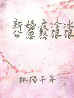 新婚夜冷冰冰老公忽然狠狠亲了我