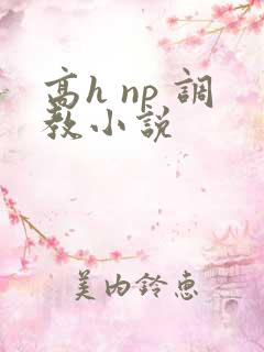 高h np 调教小说