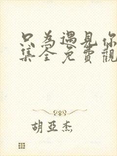 只为遇见你56集全免费观看