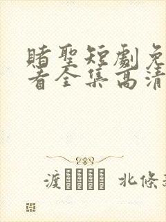 赌圣短剧免费观看全集高清