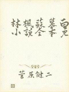 林枫苏慕白穿越小说全本免费阅读傲世潜龙