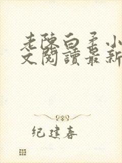 老陈白柔小说全文阅读最新章节内容