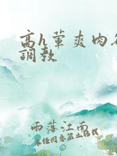 高h荤爽肉欲文调教