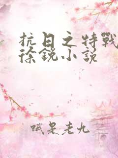 抗日之特战兵王徐锐小说