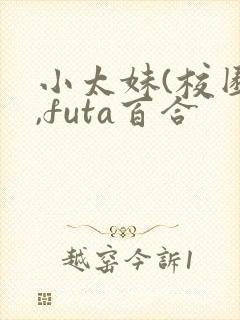 小太妹(校园h,futa百合