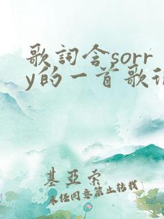 歌词含sorry的一首歌很火
