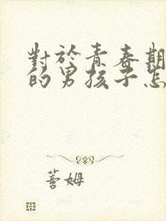 对于青春期叛逆的男孩子怎么办